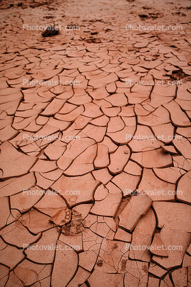 dried mud, cracked earth, Craquelure