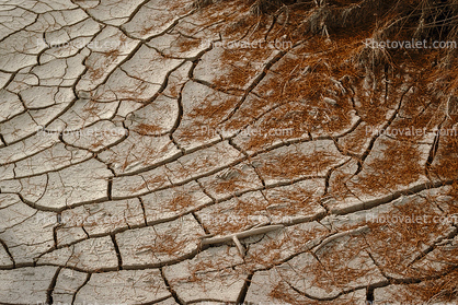 dried mud, cracked earth, muddy, Dirt, soil, Craquelure