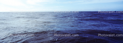 Wide Open Ocean, Panorama, Wet, Liquid, Water, Pacific Ocean, Seawater, Sea