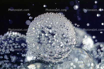 Air Bubbles, Round, Circular, Circle, Wet, Liquid, Water, Underwater, floating