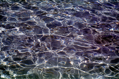 Ripples, Wet, Liquid, Water, Wavelets