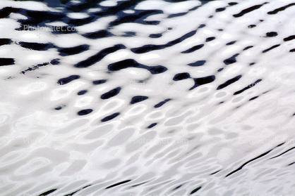 Ripples, Wet, Liquid, Water, Wavelets