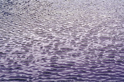 Ripples, Wet, Liquid, Water, Wavelets