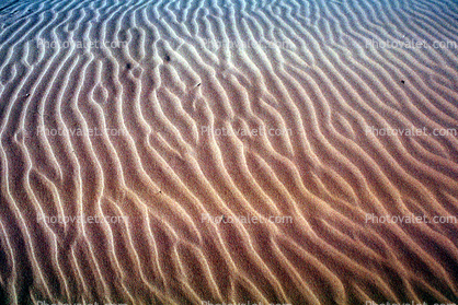 Ripples, Coral Pink Sand Dunes fractals, State Park, Utah, Wavelets