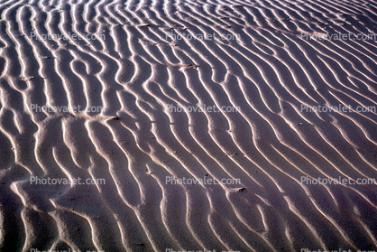 Ripples, Coral Pink Sand Dunes State Park, Utah, Wavelets