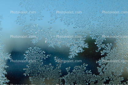 Ice Crystals in window, Wet, Liquid, Water
