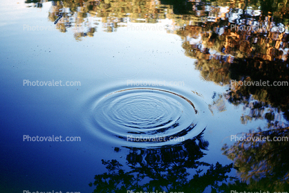 Concentric Ripples, Wave Propagation, Waves, Round, Circular, Circle, Wet, Liquid, Water, Pond, lake, Wavelets