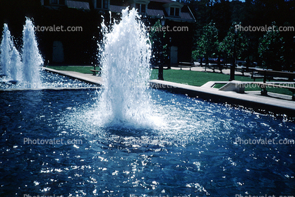 Water Fountain, aquatics, Wet, Liquid, Water