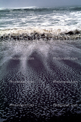 Pacific Ocean, Waves, Foam, Sand, Water, Wet, Liquid, Seawater, Sea