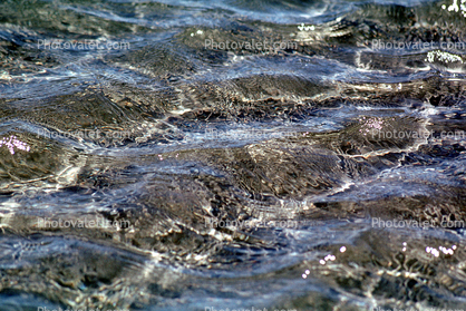 Water, Wavelets