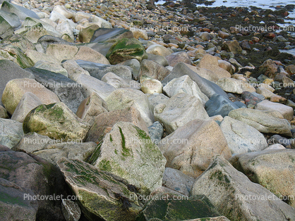 Rocks along the Seashore