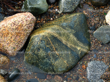 Wet Rock, Sand, Pebbles