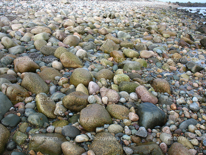 Rocks and Pebbles along the Seashore