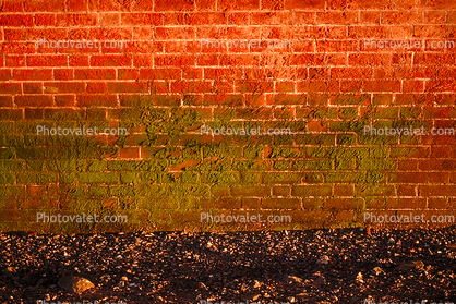 Fort Point, Brick Wall