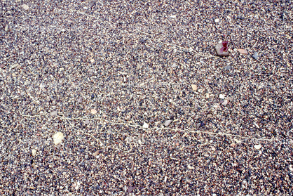 gravel, Wet Sand, Pebbles, Beach, seashore