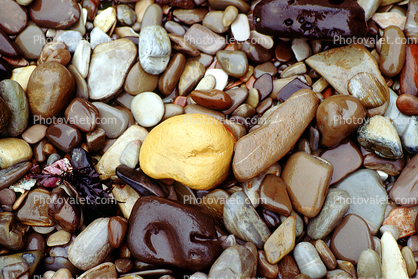 Wet Rocks, Pebbles, Beach, seashore