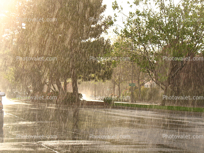 Rain, Rainy, Downpour, Deluge