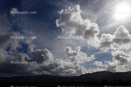 Cumulus Puffs, Tomales Bay, Marin County, California, Cumulus
