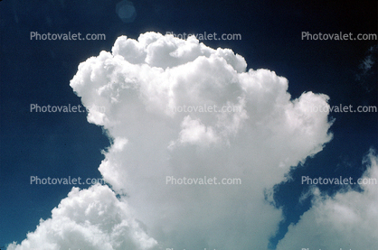 Cumulus Cloud, sprouting, daytime, daylight