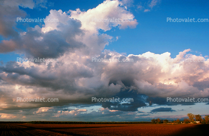 daytime, daylight, Sunset, Farmfield, Clouds