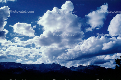 cumulus clouds with an up thrust trying to become Nimbus, Cloud Puffs, Cumulus nimbus, Cumulonimbus
