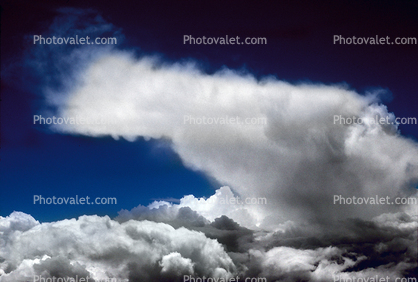 Anvil, Thunderhead, Cumulonimbus, daytime, daylight, Cumulus Cloud Puffs, Cumulus nimbus
