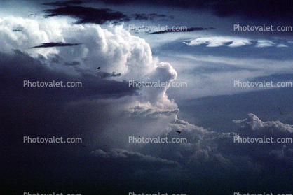 daytime, daylight, cumulonimbus, ominous, Cumulus nimbus