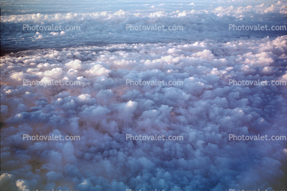 daytime, daylight, cumulus puff clouds making a velvet carpet