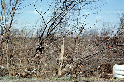 Tornado Damage, Homes, Houses, Buildings