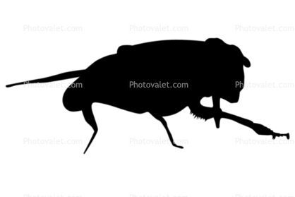 Bee Silhouette, logo, shape