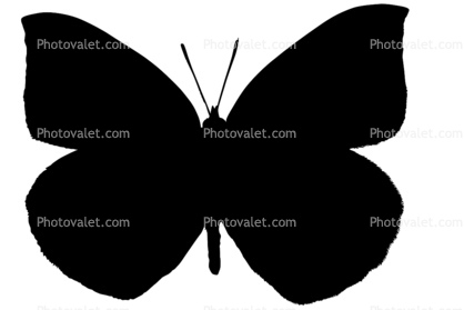 Butterfly silhouette, Wings, Butterflies, logo, shape