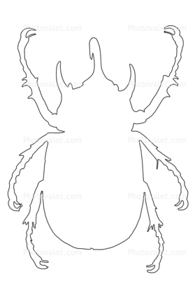 Rhinoceros Beetle outline, line drawing, (Eupatorus gracilicornis), Scarabaeidae, Dynastinae
