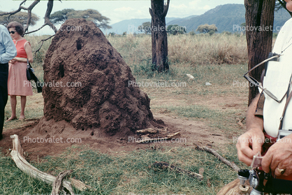 Termite Mound, Hill