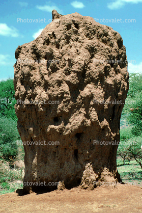 Termite Mound, Hill, Great Rift Valley, Kenya