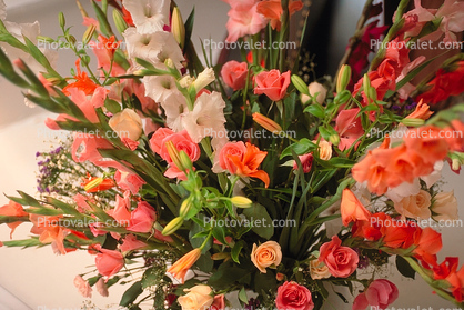 Flower Arrangement, Gladiolus