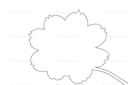 Flower outline, line drawing, shape