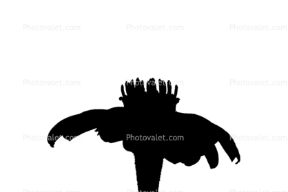 silhouette, logo, shape