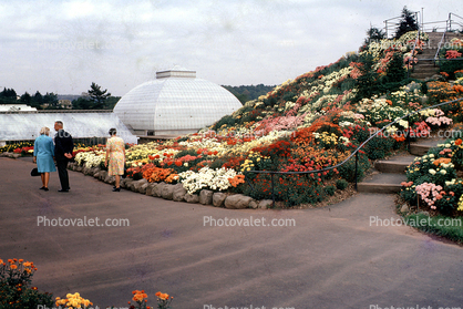 Hill, Mound, Flower Garden, arboretum, building, Conservatory