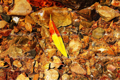 Leaf in a Stream Abstract