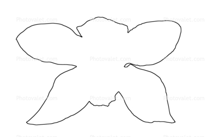 outline, line drawing, Orchid shape