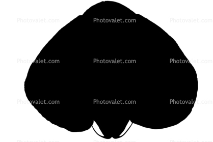 silhouette, logo, shape