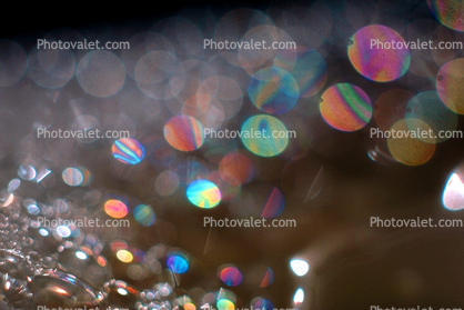 Spectral Bubbles, Floating into colorful existence