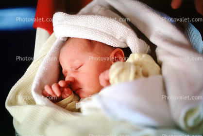 newborn, Equanimity, Home Childbirth