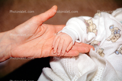 Tiny Hand, Big Hand, Baby, babies, newborn, infant, Young