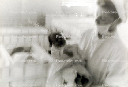 newborn, Childbirth, 1950s