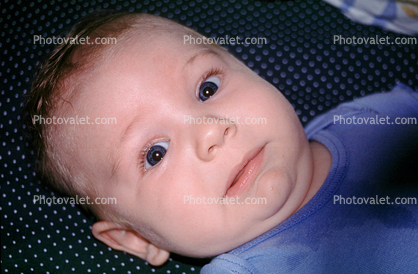 Newborn, Boy, Baby, Face, 1960s