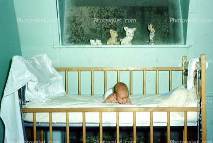 Newborn, Crib, Baby, 1950s