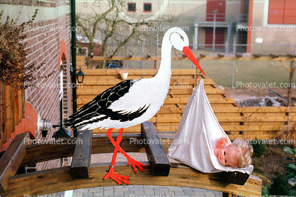 Stork, Baby, Doll