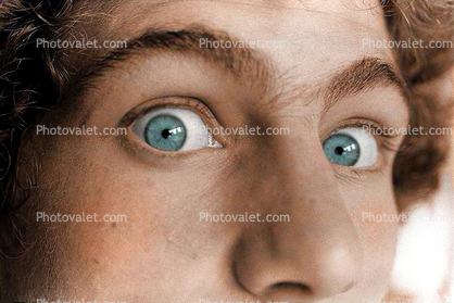 Eyes, Nose, Eyebrow, Eyelash, man, male