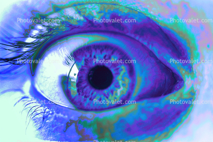 lash, Psychedelic Eyeball, Iris, Lens, Pupil, Eyelash, Cornea, Sclera, psyscape